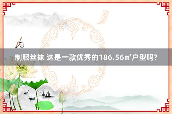 制服丝袜 这是一款优秀的186.56㎡户型吗?