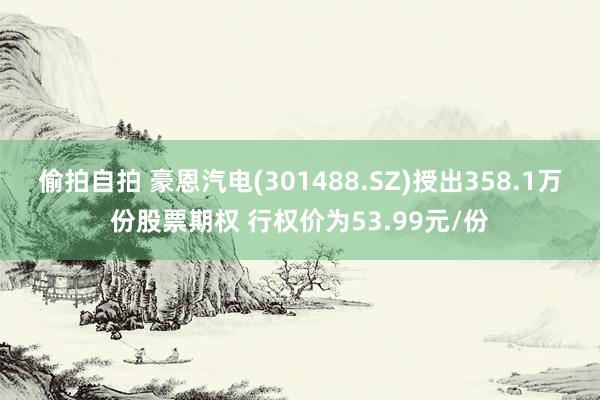 偷拍自拍 豪恩汽电(301488.SZ)授出358.1万份股票期权 行权价为53.99元/份