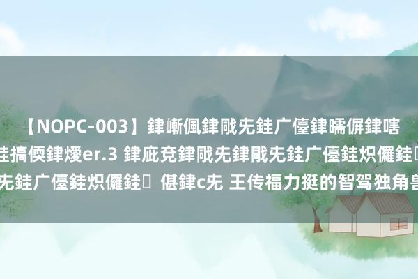 【NOPC-003】銉嶃偑銉戙兂銈广儓銉曘偋銉嗐偅銉冦偡銉ャ儫銉ャ兗銈搞偄銉燰er.3 銉庛兗銉戙兂銉戙兂銈广儓銈炽儸銈偡銉с兂 王传福力挺的智驾独角兽冲刺IPO