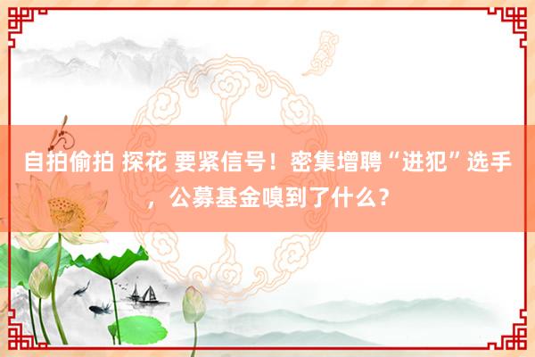 自拍偷拍 探花 要紧信号！密集增聘“进犯”选手，公募基金嗅到了什么？