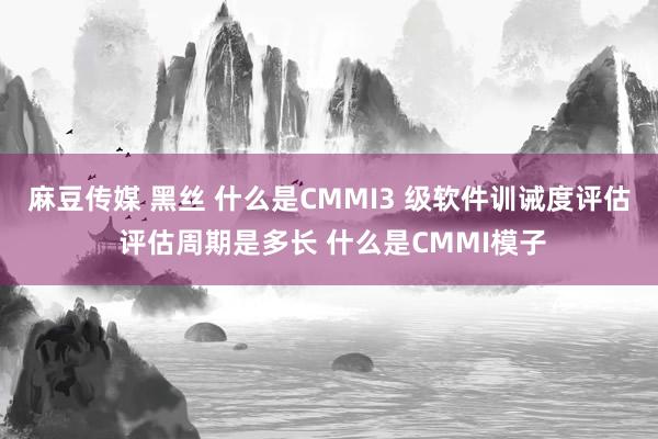 麻豆传媒 黑丝 什么是CMMI3 级软件训诫度评估 评估周期是多长 什么是CMMI模子