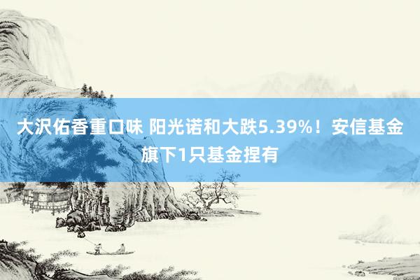 大沢佑香重口味 阳光诺和大跌5.39%！安信基金旗下1只基金捏有