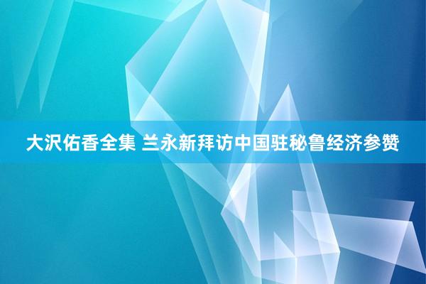 大沢佑香全集 兰永新拜访中国驻秘鲁经济参赞