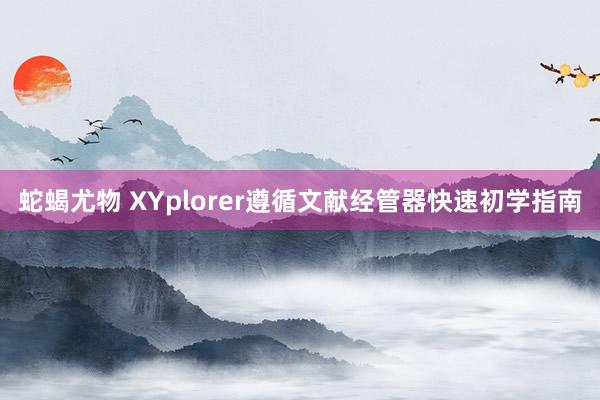 蛇蝎尤物 XYplorer遵循文献经管器快速初学指南