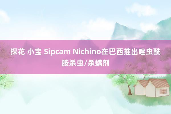 探花 小宝 Sipcam Nichino在巴西推出唑虫酰胺杀虫/杀螨剂