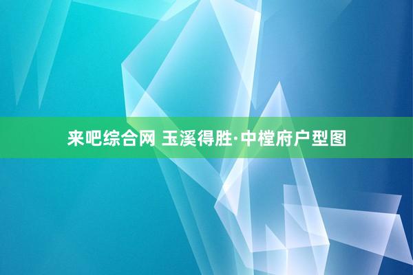 来吧综合网 玉溪得胜·中樘府户型图